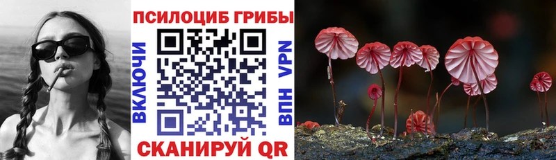 мега сайт  Новая Ляля  Псилоцибиновые грибы ЛСД 